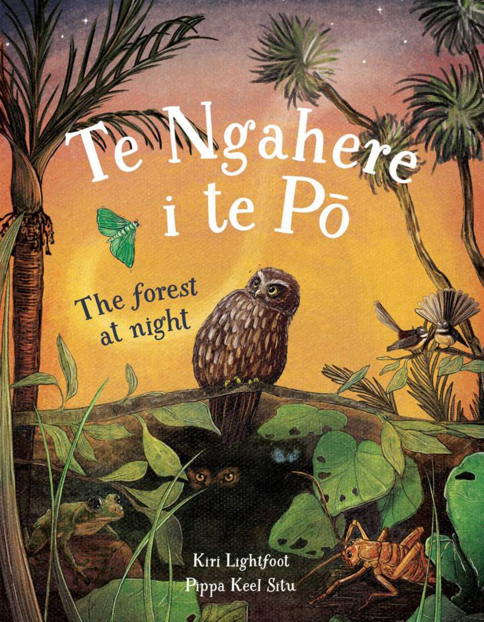 Te Ngahere I Te Pō the Forest at Night Cover Image