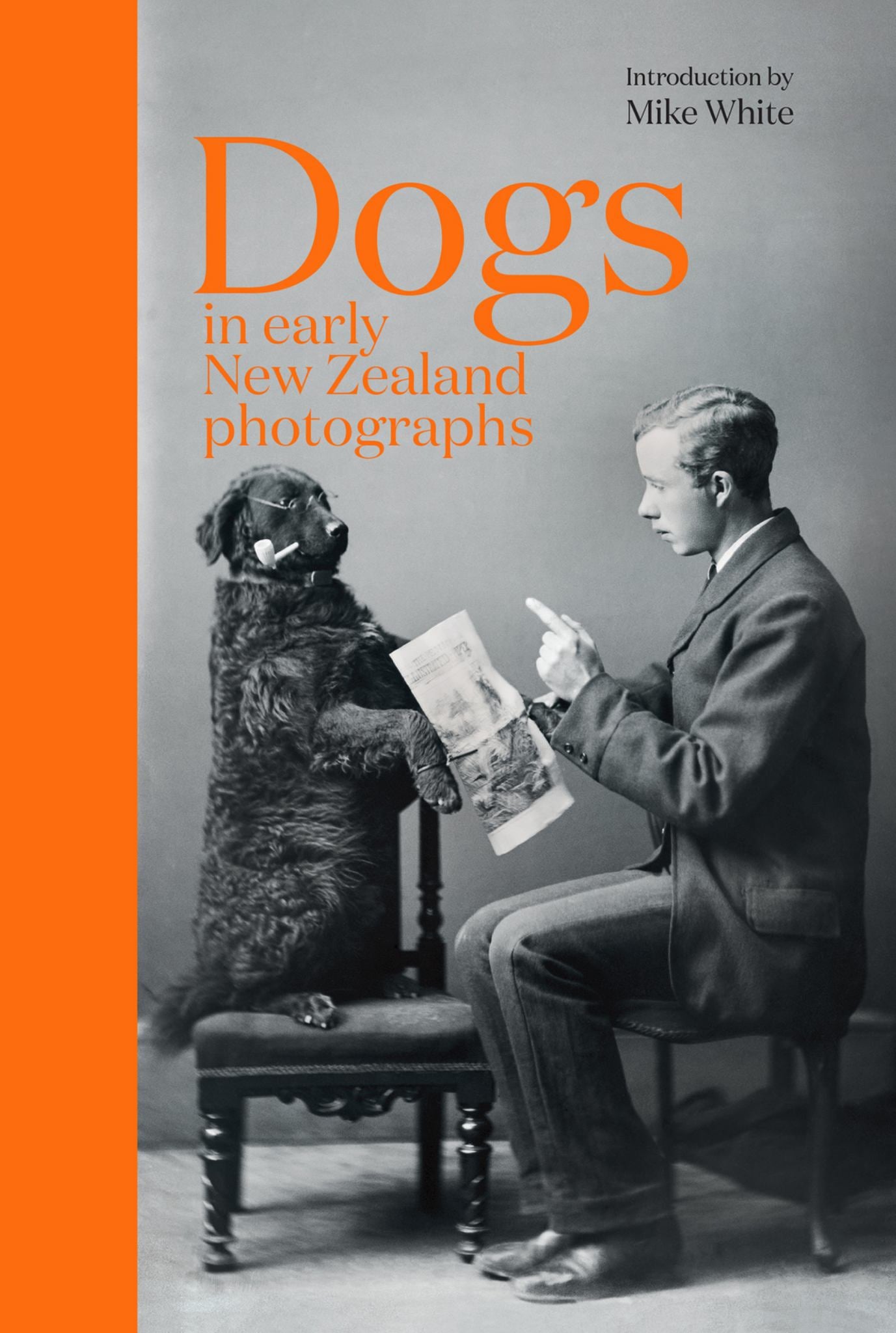 Dogs in Early New Zealand Photographs Cover Image