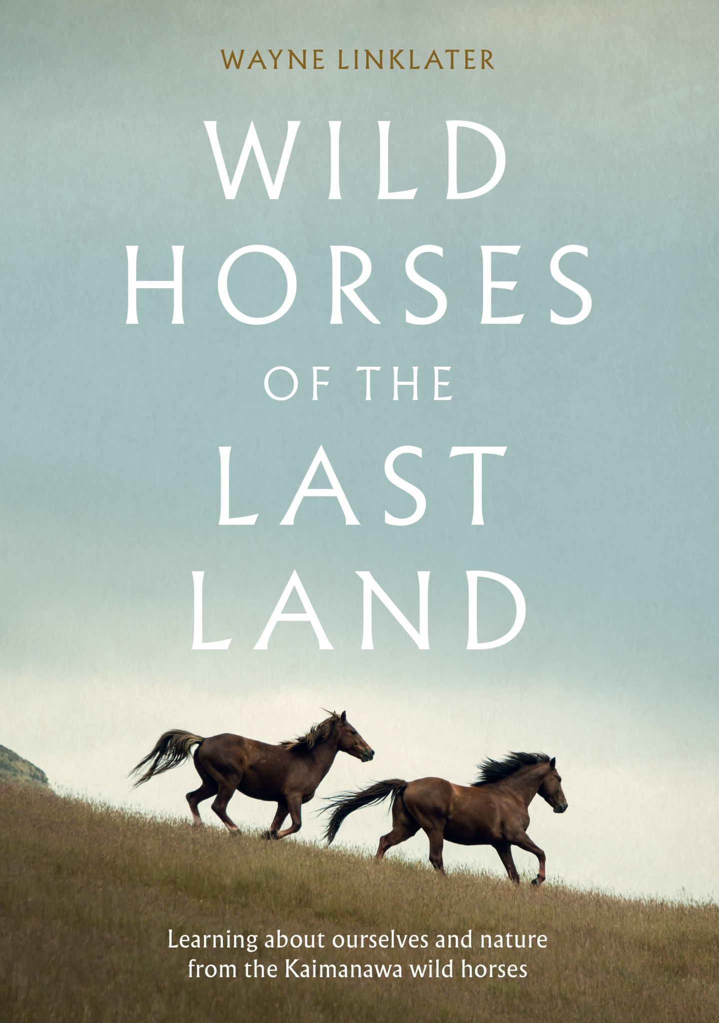 Wild Horses of the Last Land Cover Image