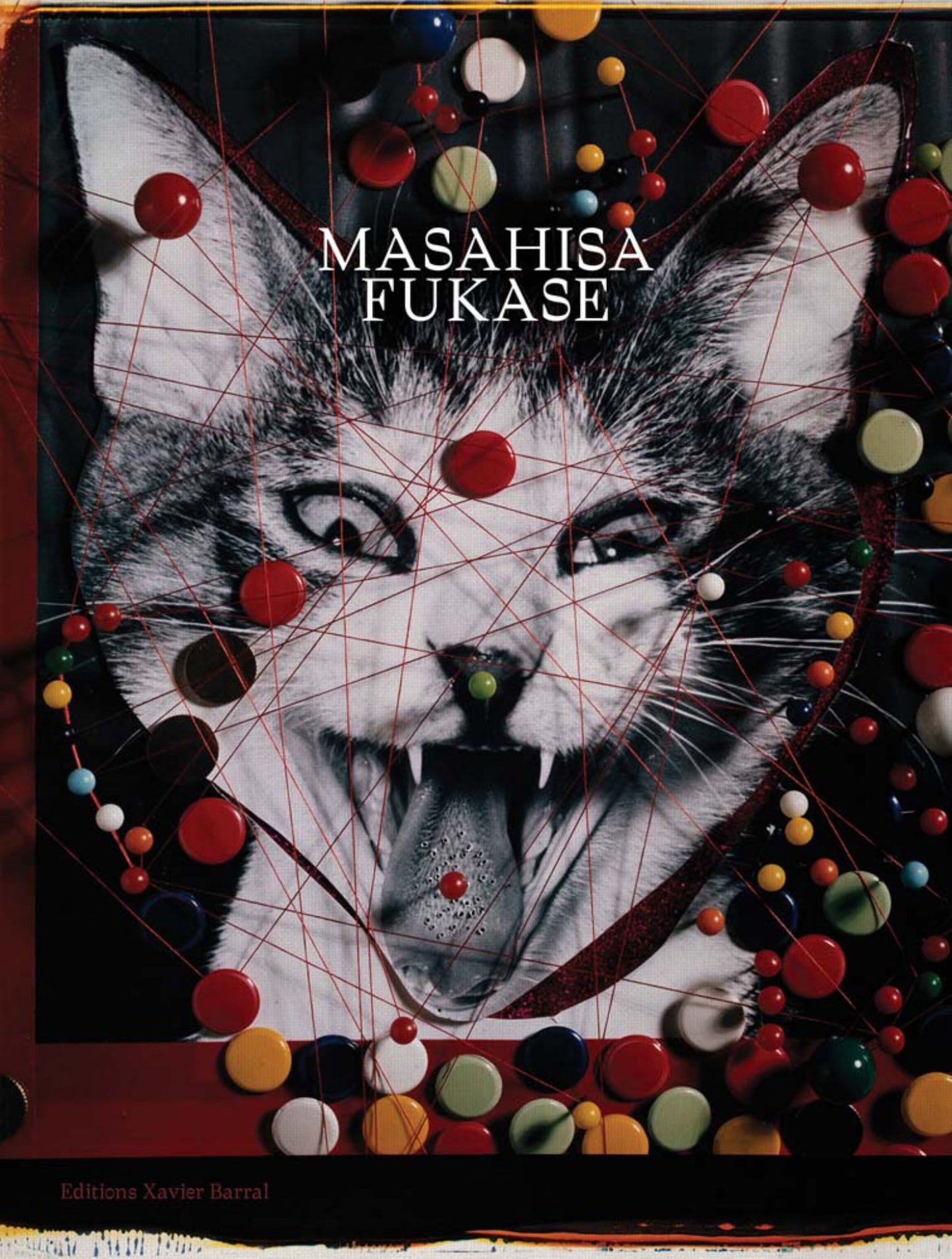 Masahisa Fukase Cover Image