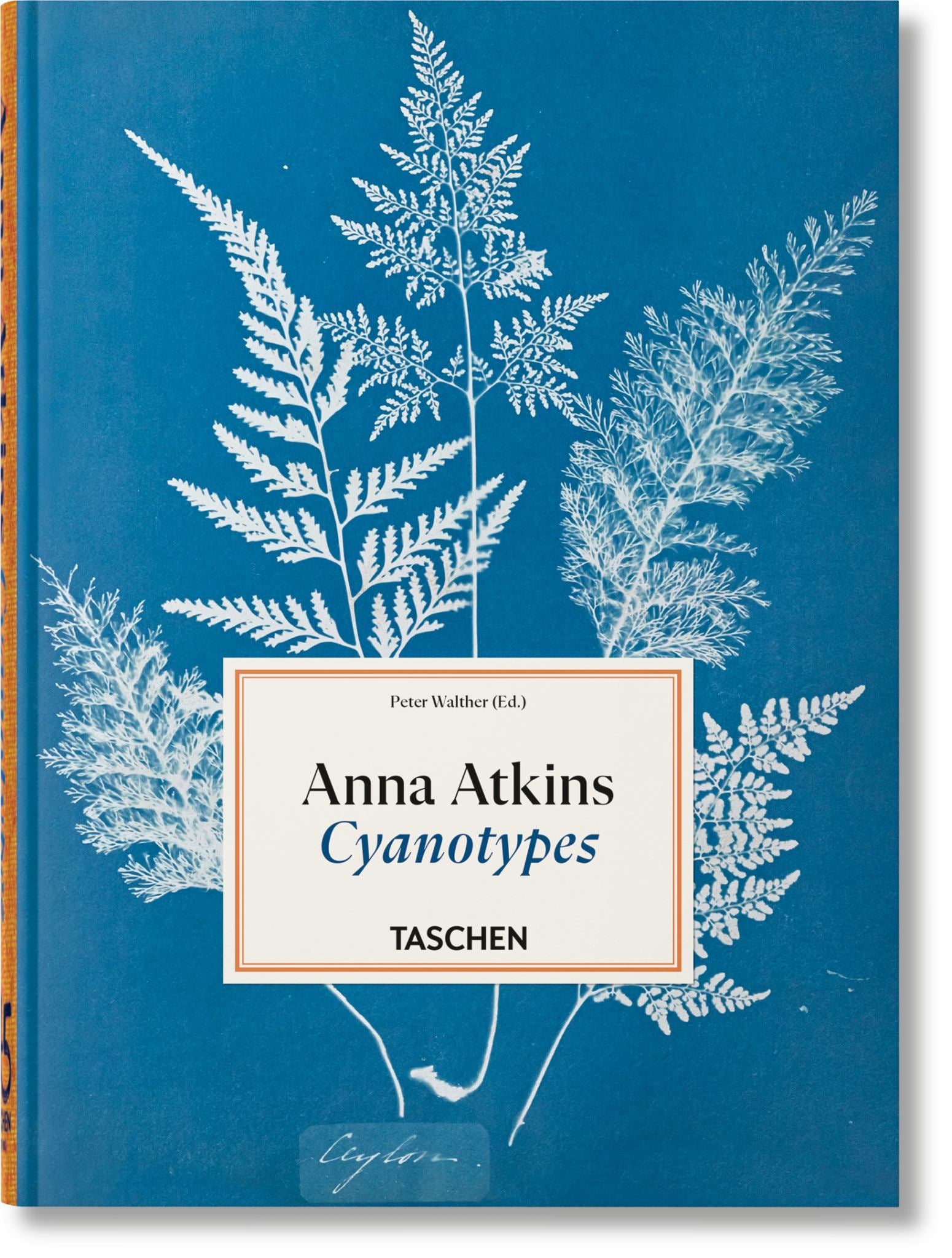 Anna Atkins. Cyanotypes. 45th Ed Cover Image