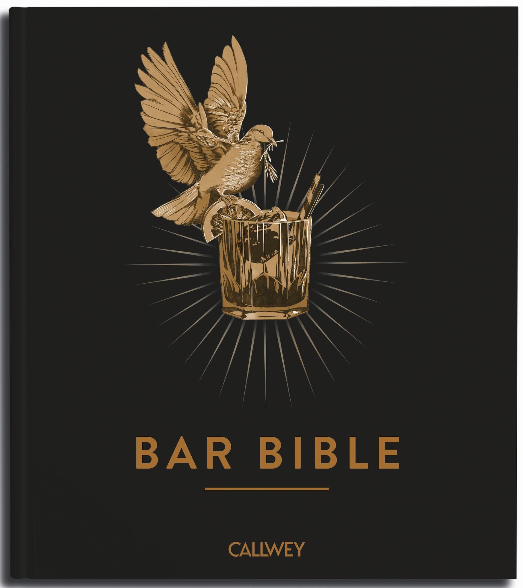 Bar Bible Cover Image