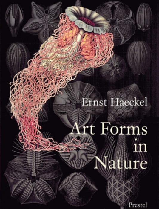 Art Forms in Nature Cover Image