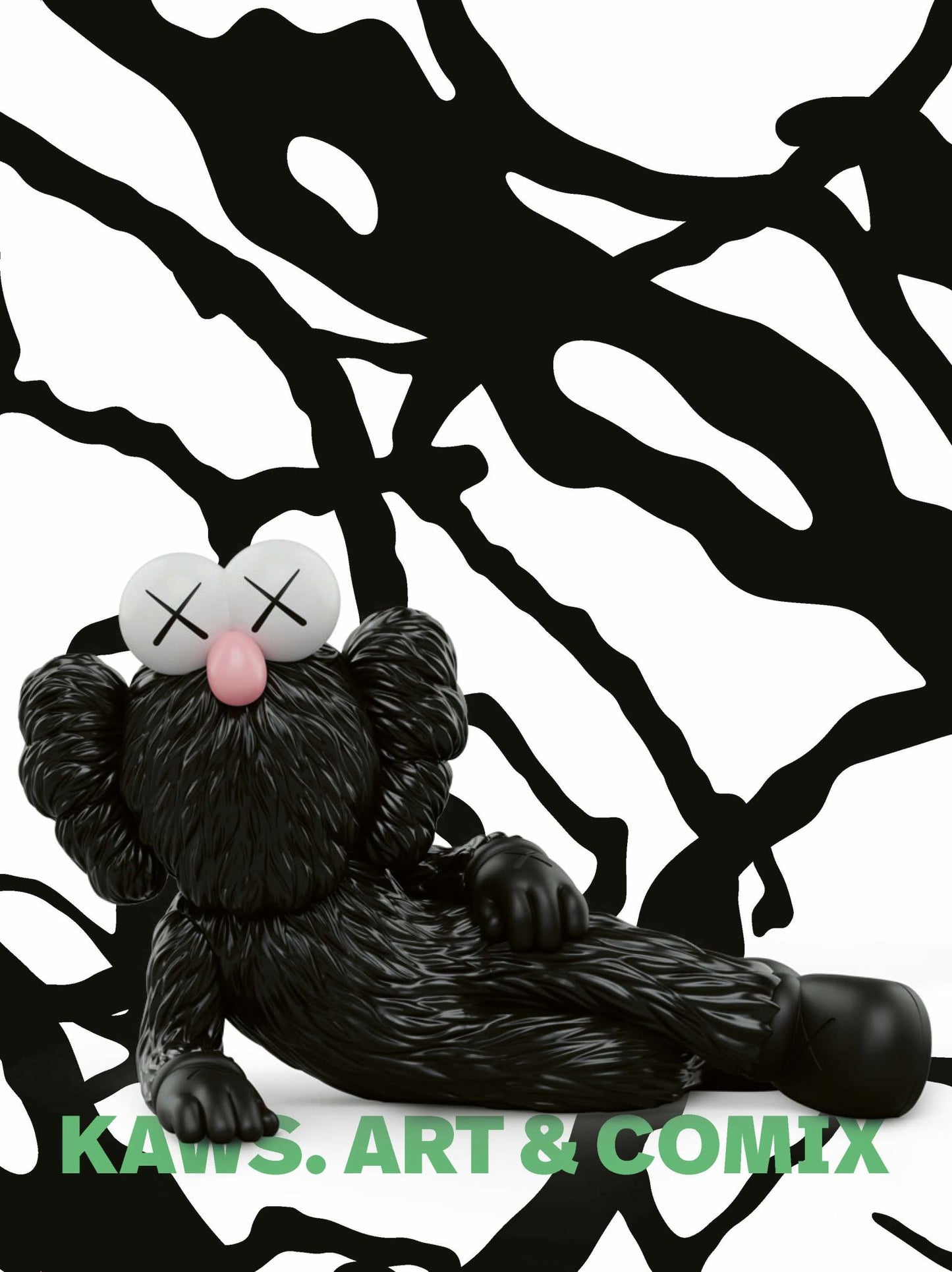 Kaws Cover Image
