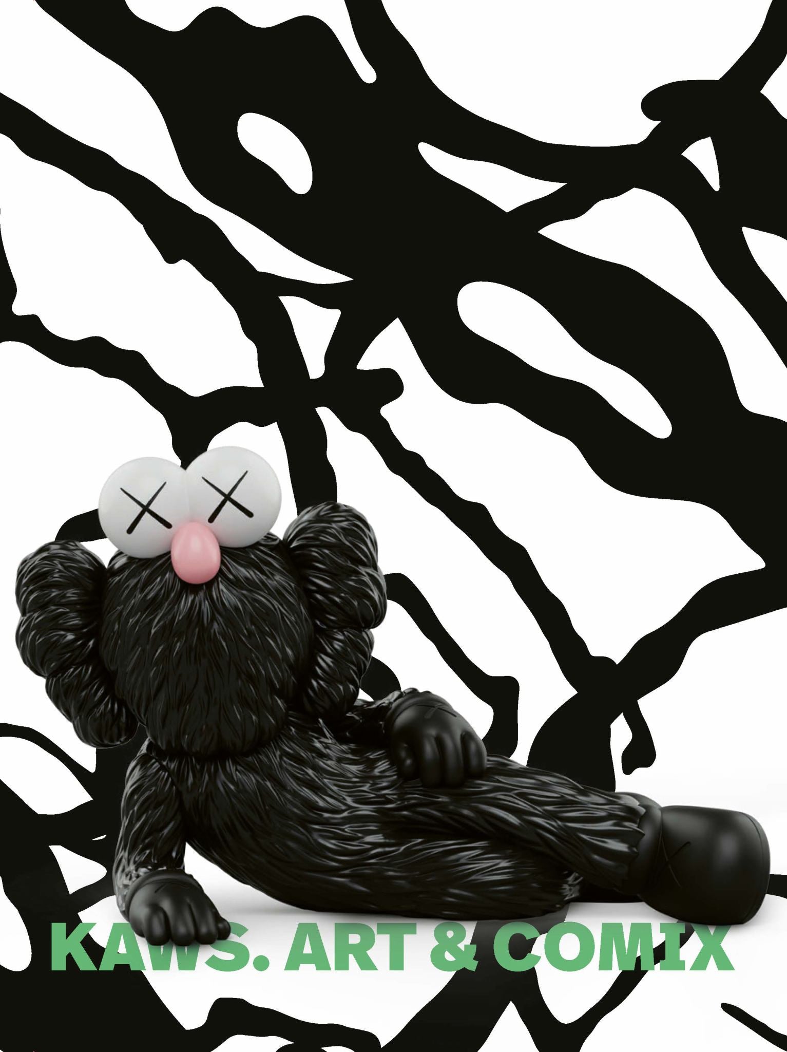 Kaws Cover Image