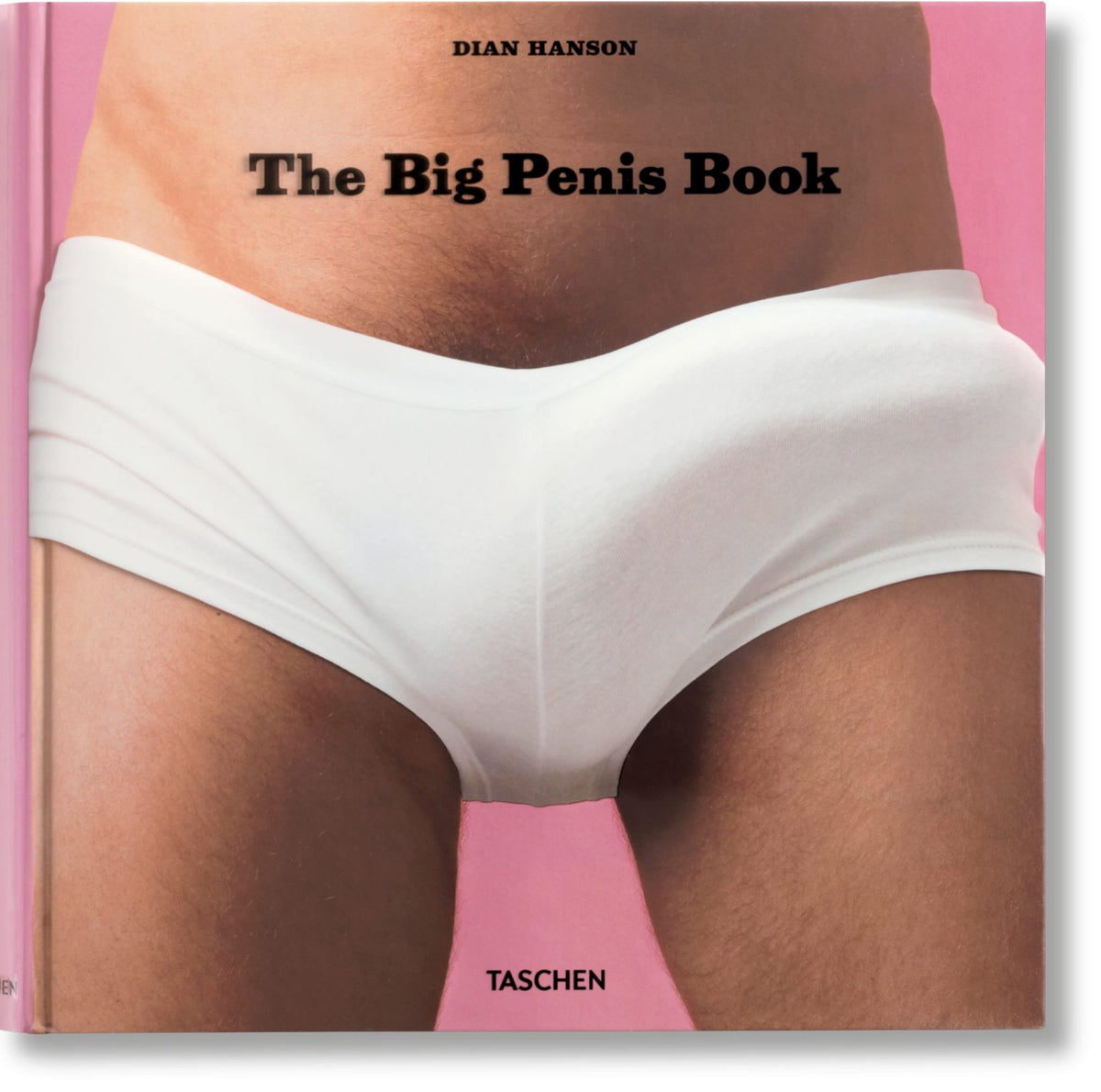 The Big Penis Book Cover Image