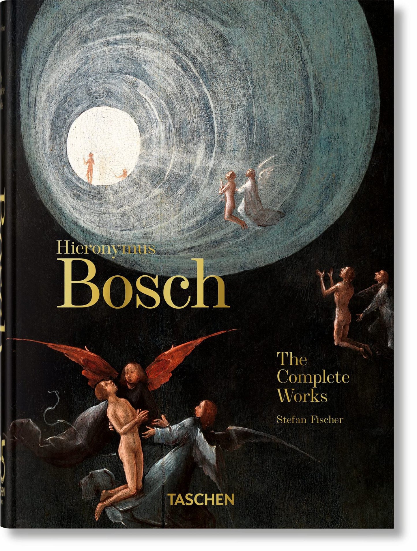 Hieronymus Bosch Cover Image