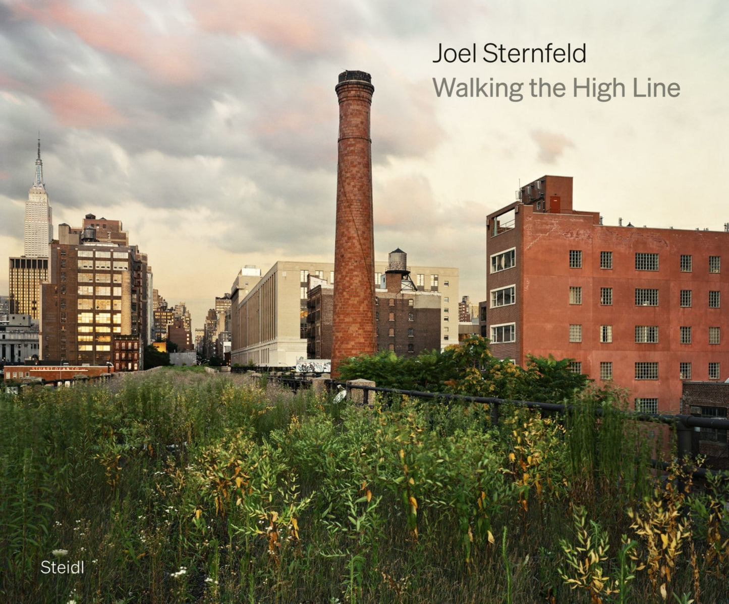 Joel Sternfeld: Walking the High Line Cover Image