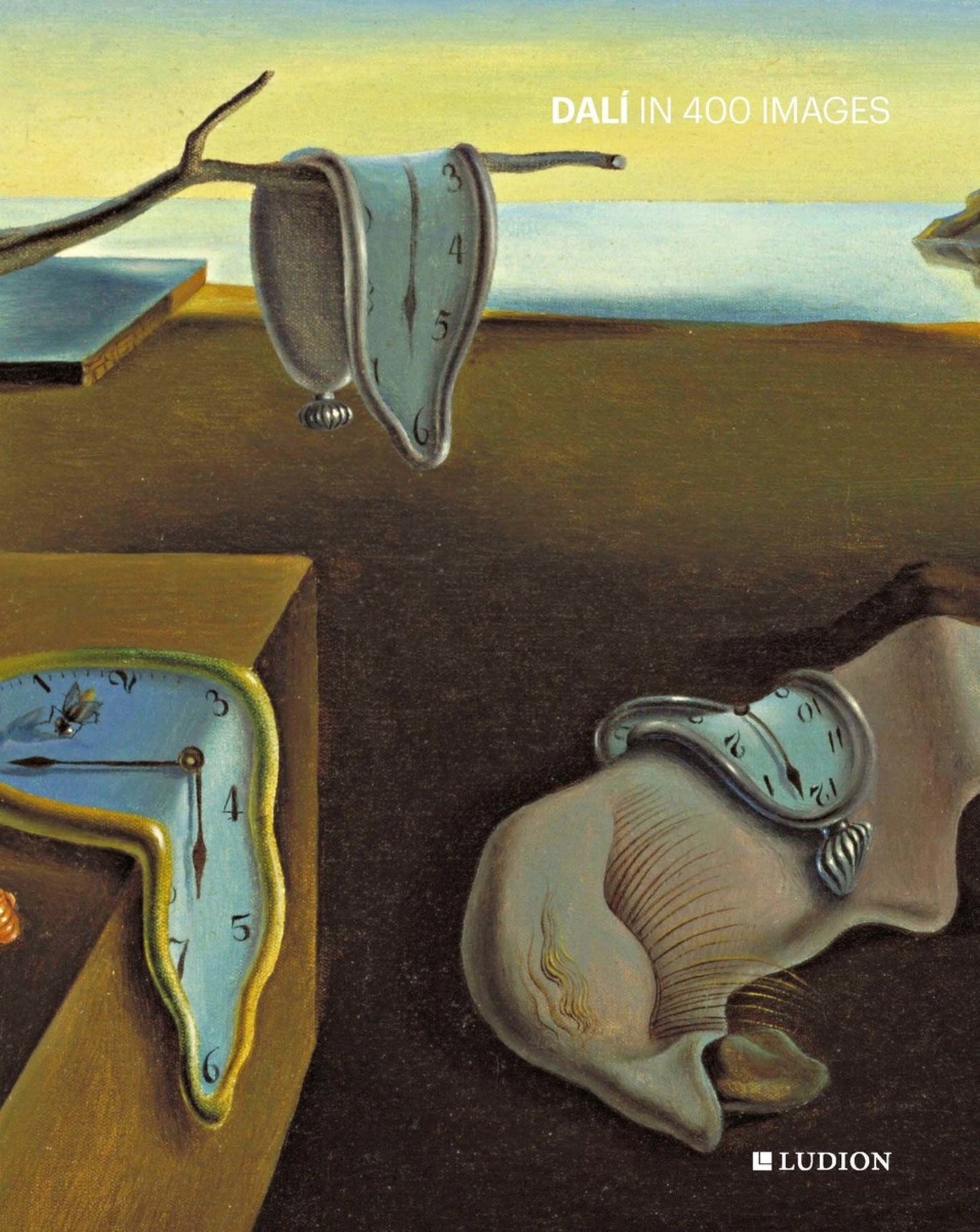 Dalí in 400 Images Cover Image