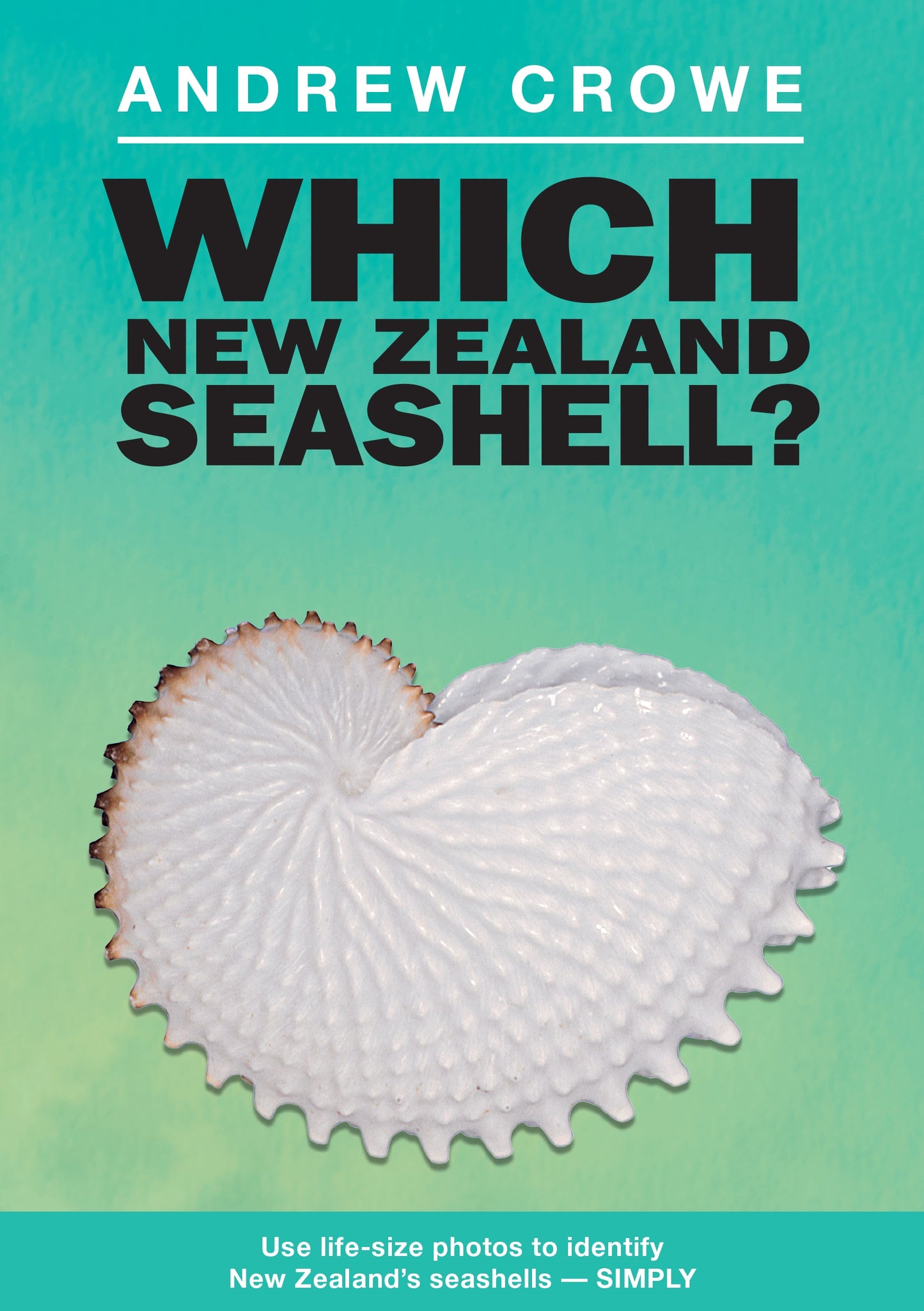 Which Seashell? Identify NZ's Seashells Simply