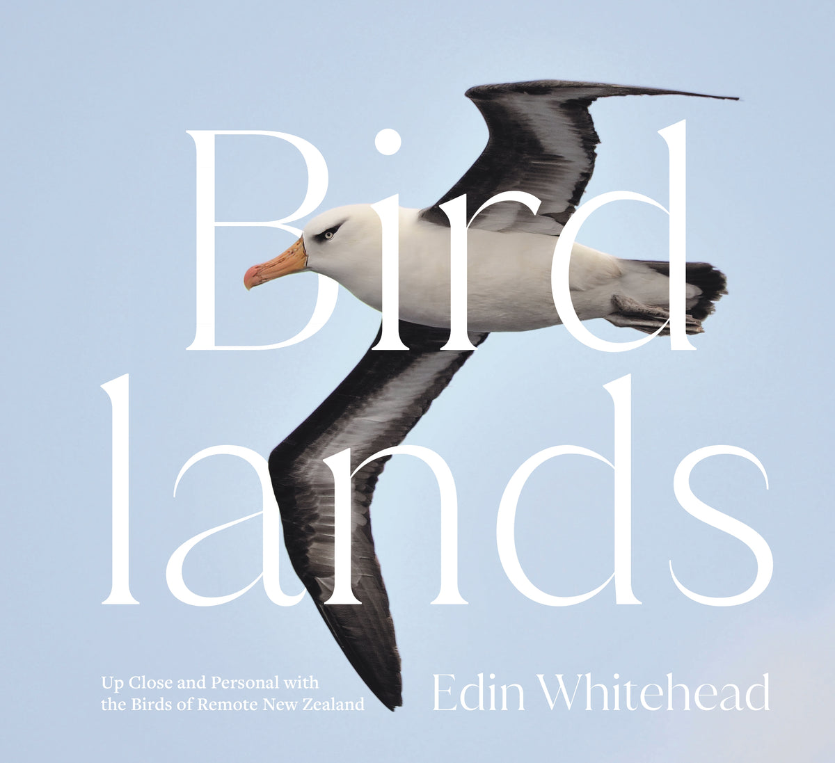 Birdlands : Up Close and Personal with the Birds of Remote New Zealand