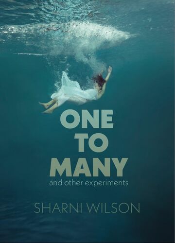 One to Many : And Other Experiments