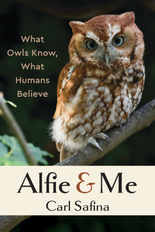 Alfie and Me What Owls Know, What Humans Believe