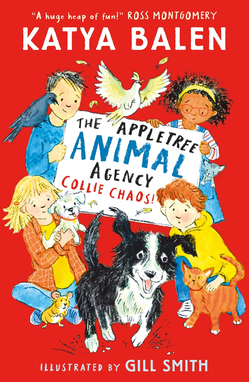 Collie Chaos #2 Appletree Animal Agency
