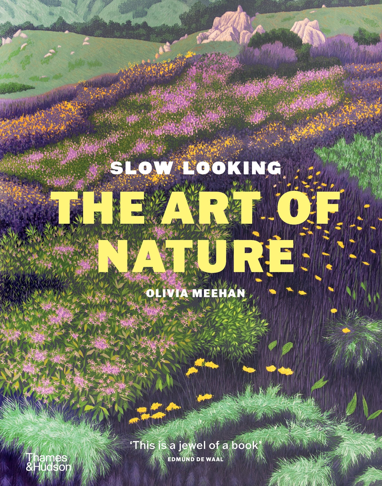 Slow Looking: The Art of Nature