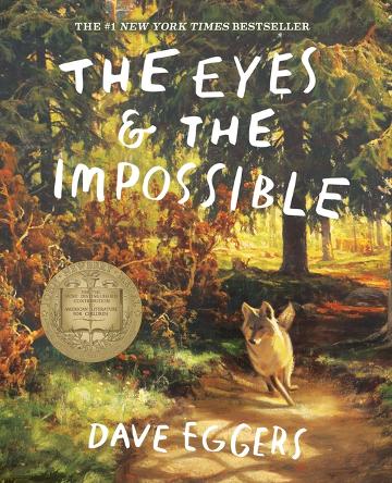 Eyes & the Impossible