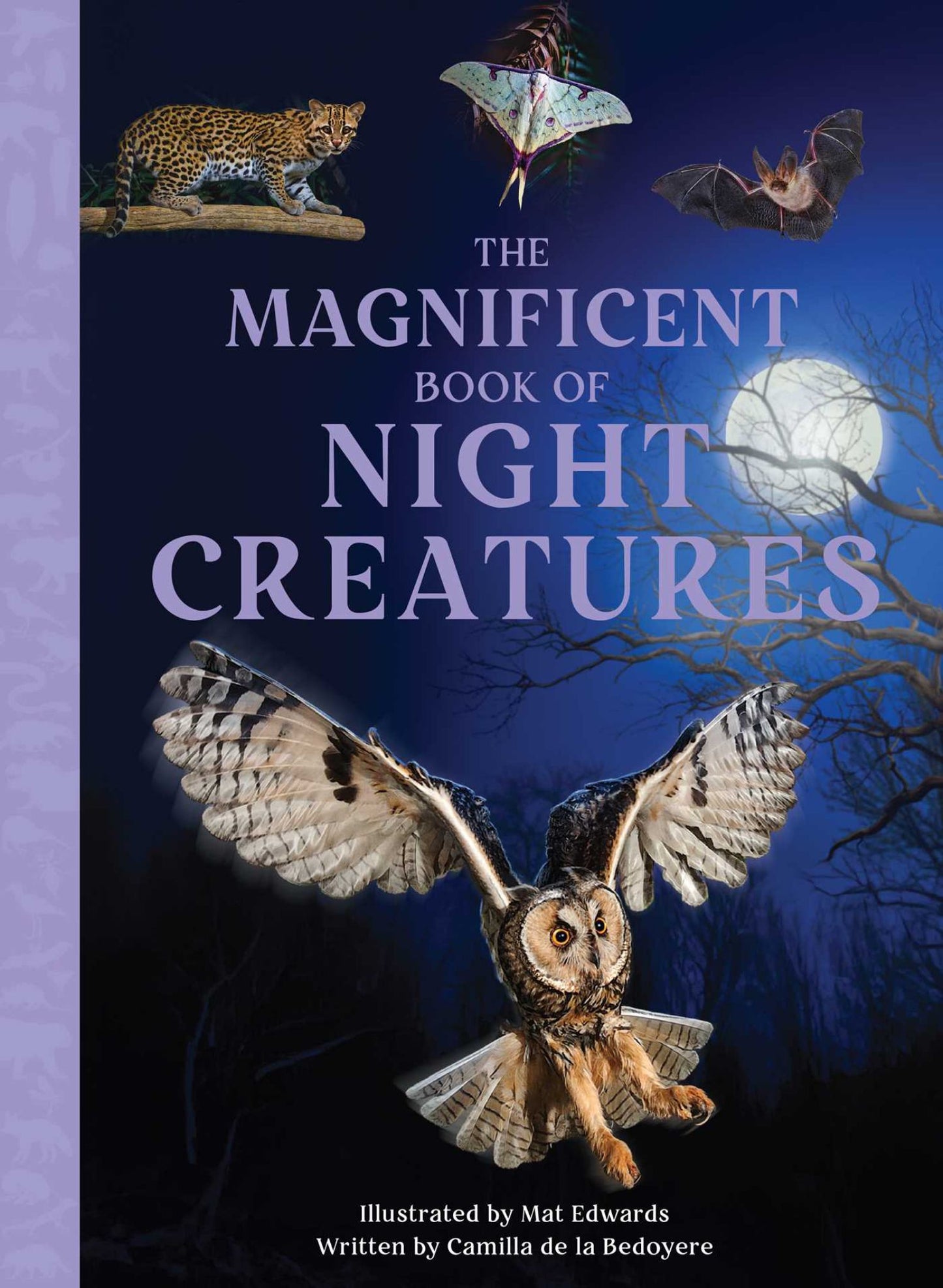 The Magnificent Book of Night Creatures Cover Image