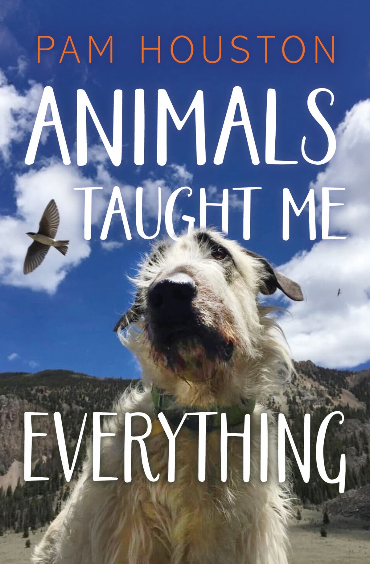 Animals Taught Me Everything Cover Image