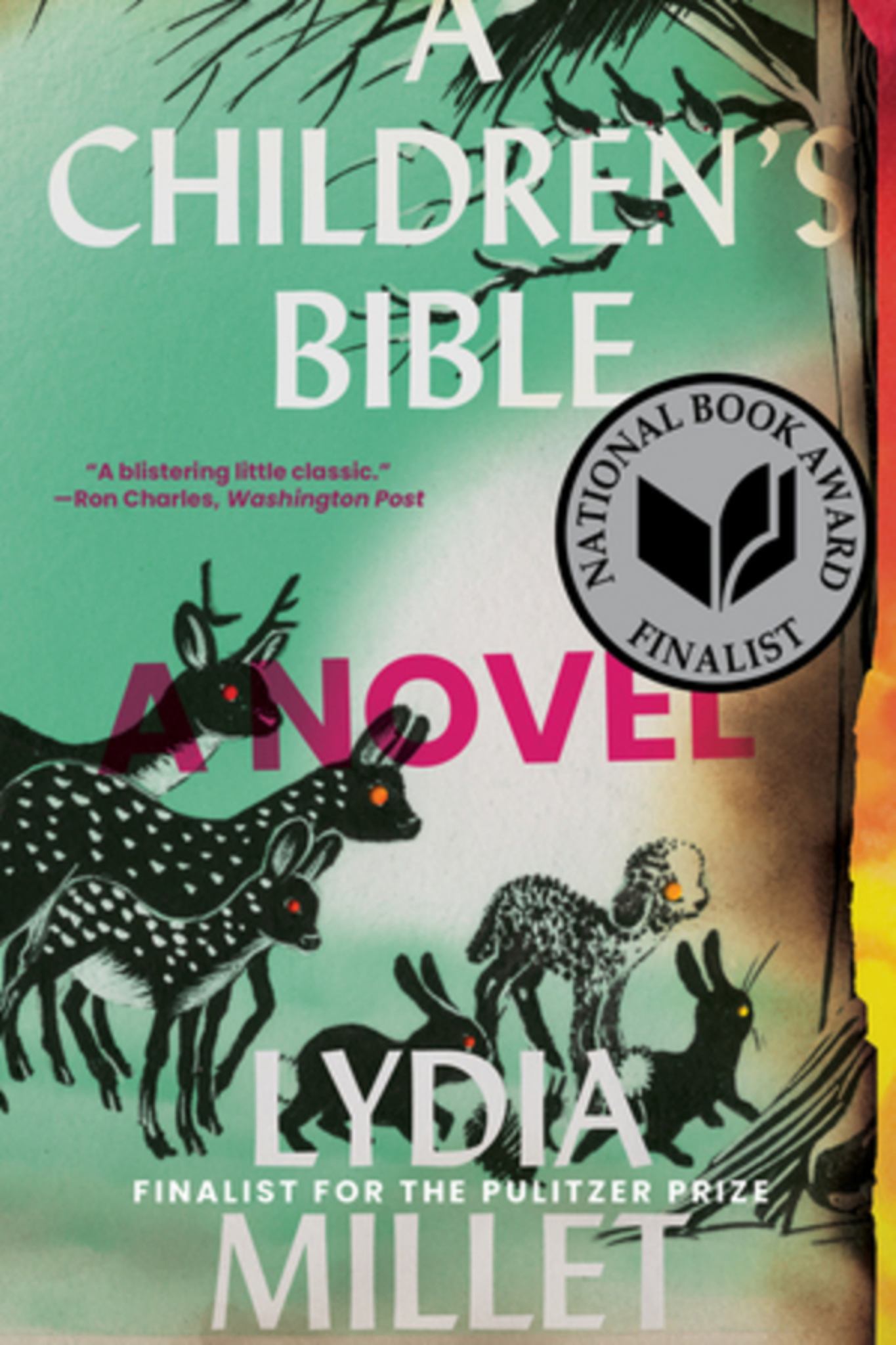 Children's Bible Cover Image