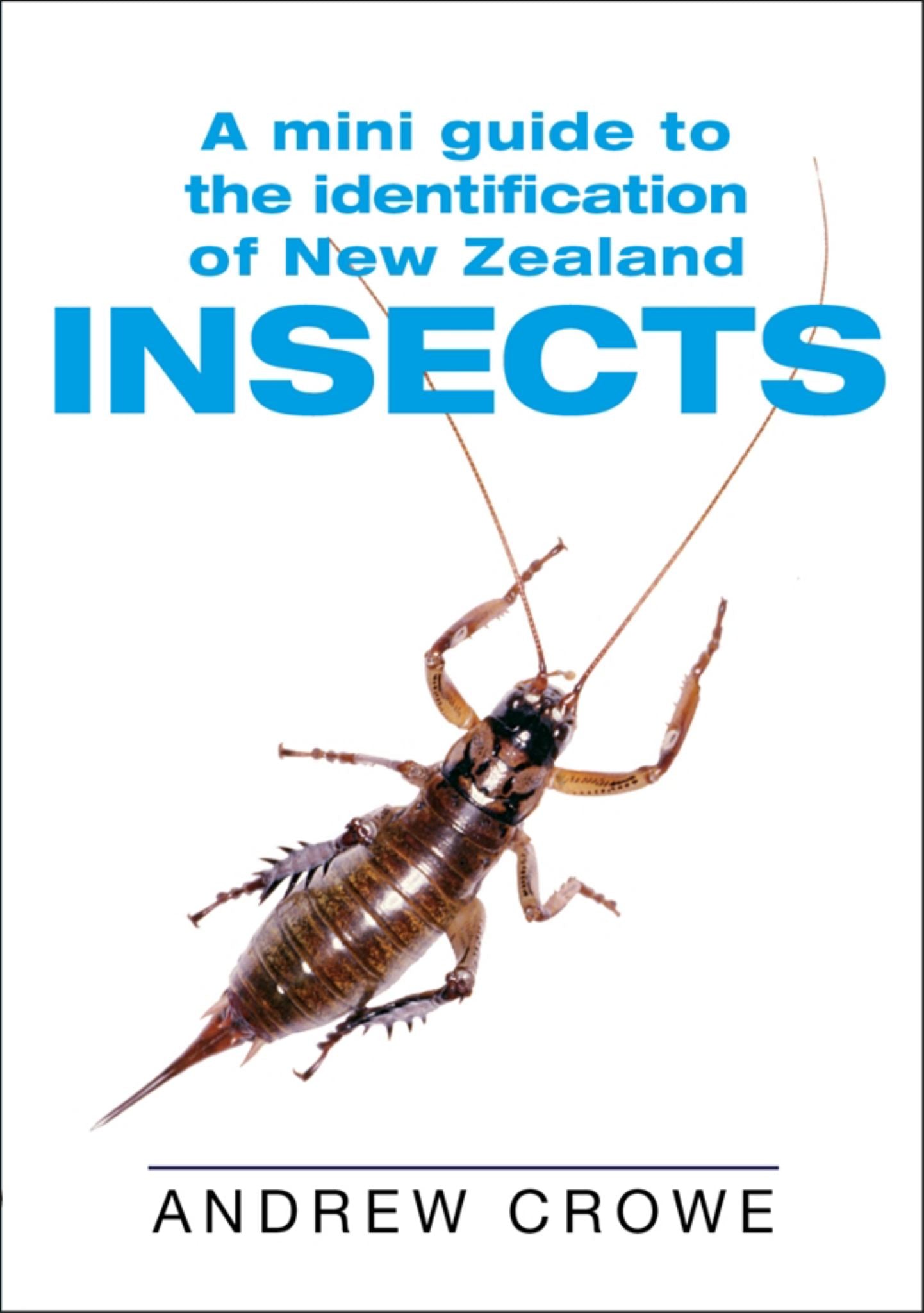 Mini Guide to NZ Insects Cover Image