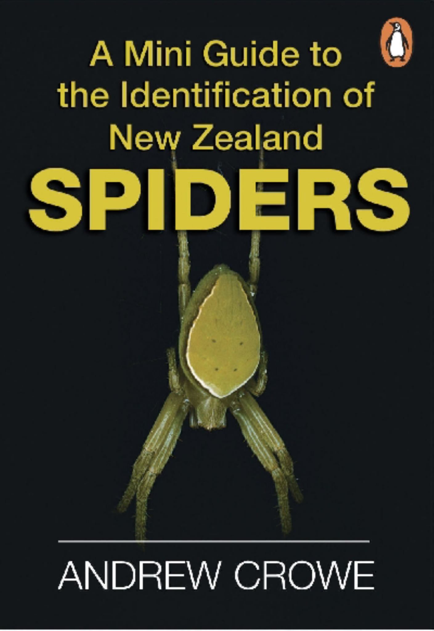 Mini Guide to the Identification of NZ Spiders Cover Image