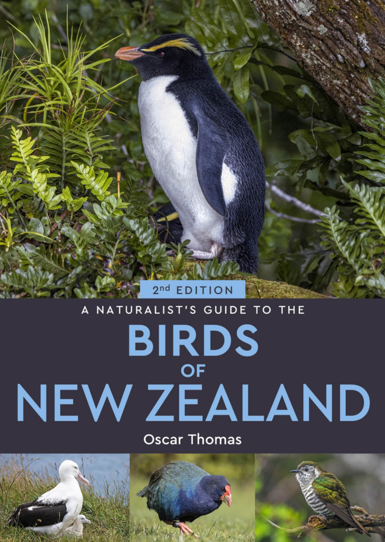 Naturalist's Guide to the Birds of New Zealand Cover Image