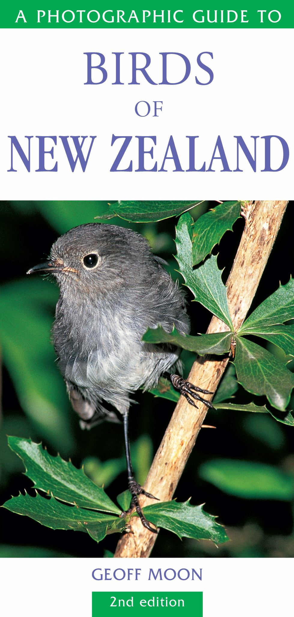 Photographic Guide to Birds of New Zealand Cover Image
