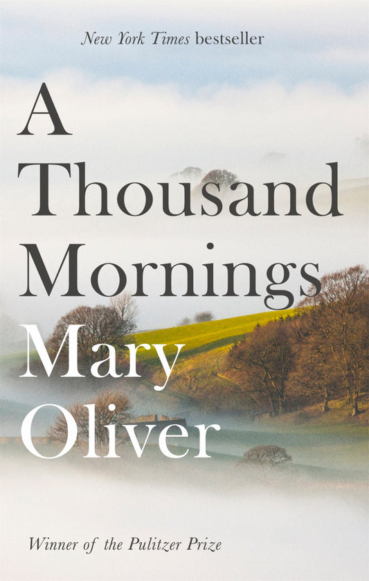 Thousand Mornings Cover Image