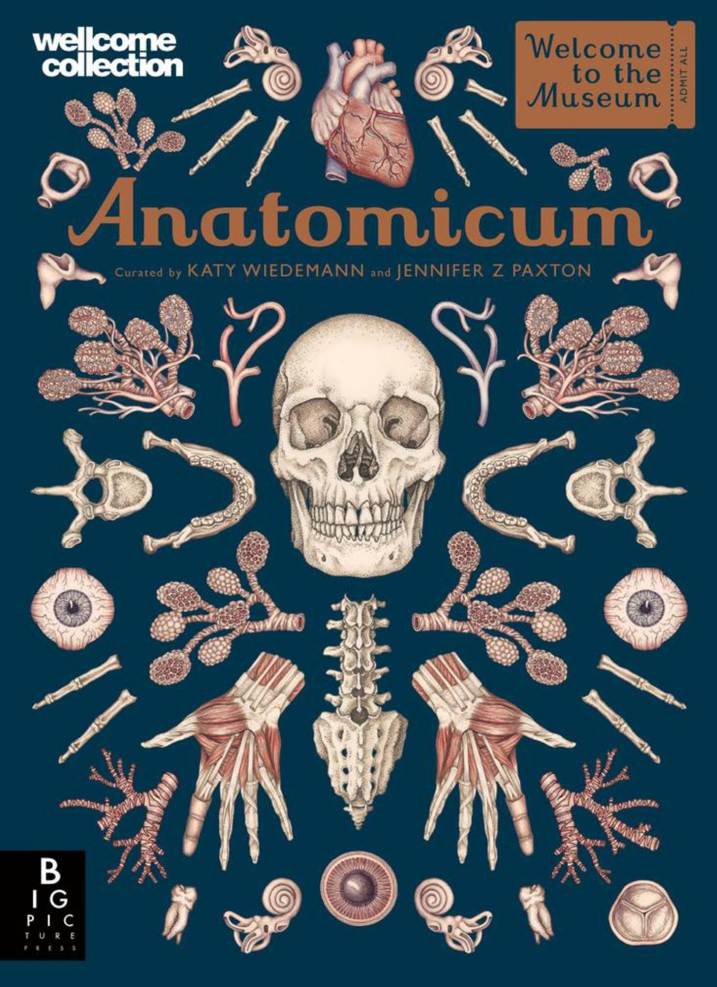 Anatomicum Cover Image