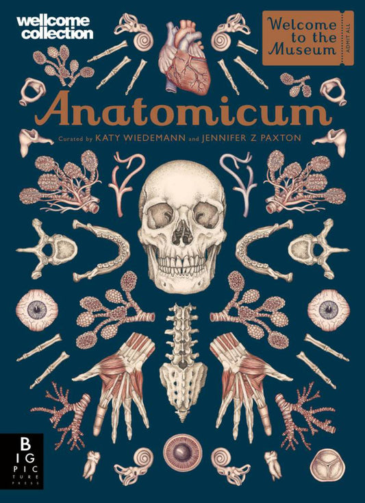 Anatomicum Cover Image