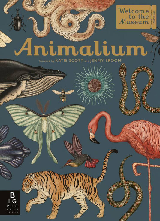 Animalium Cover Image