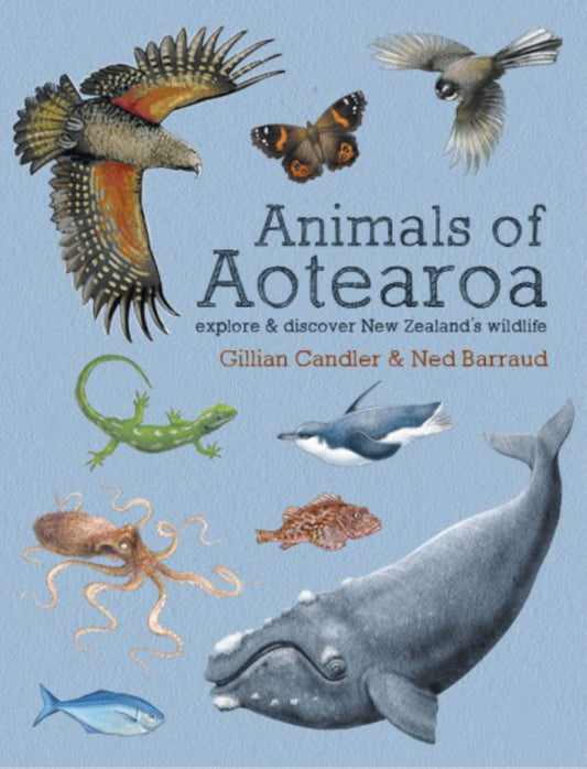 Animals of Aotearoa : Explore and Discover New Zealand's Wildlife Cover Image