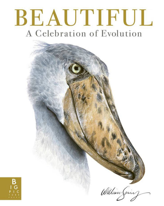 Beautiful: A Celebration of Evolution Cover Image