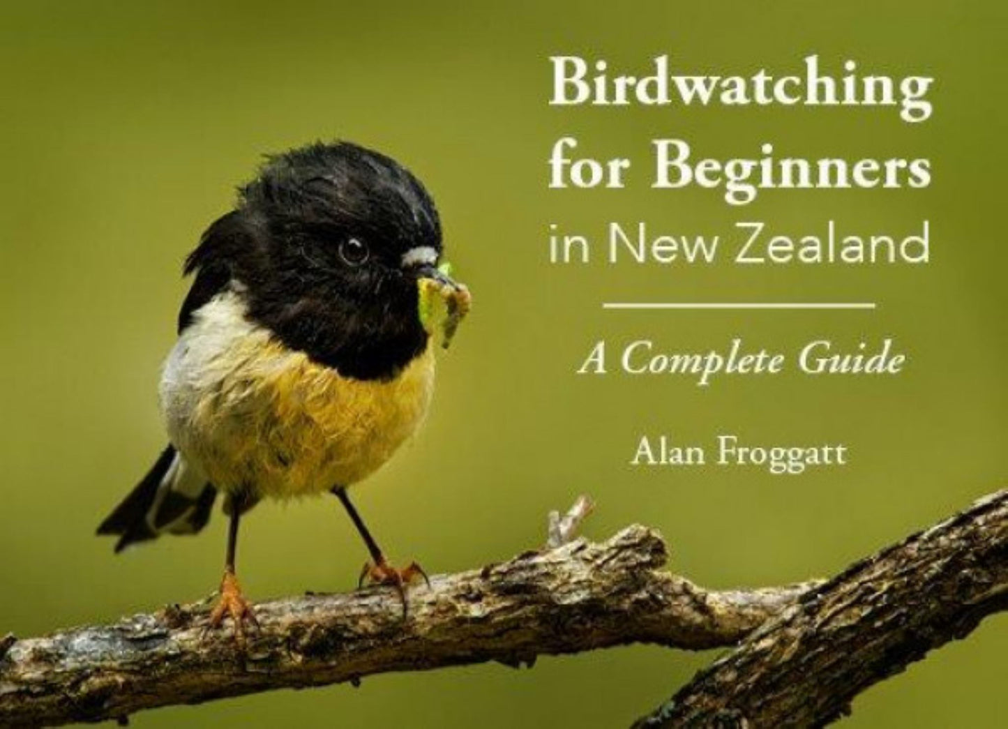 Birdwatching for Beginners in NZ: A Complete Guide Cover Image