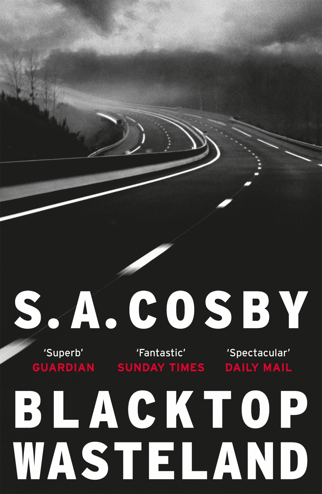 Blacktop Wasteland Cover Image