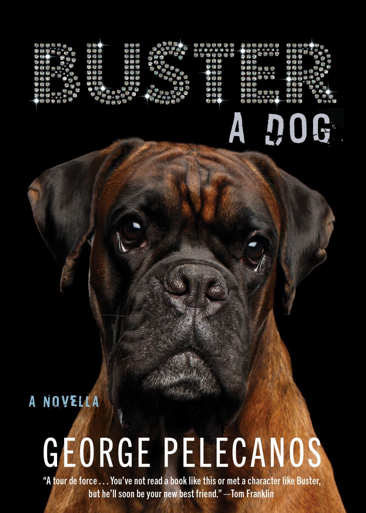 Buster: a Dog Cover Image