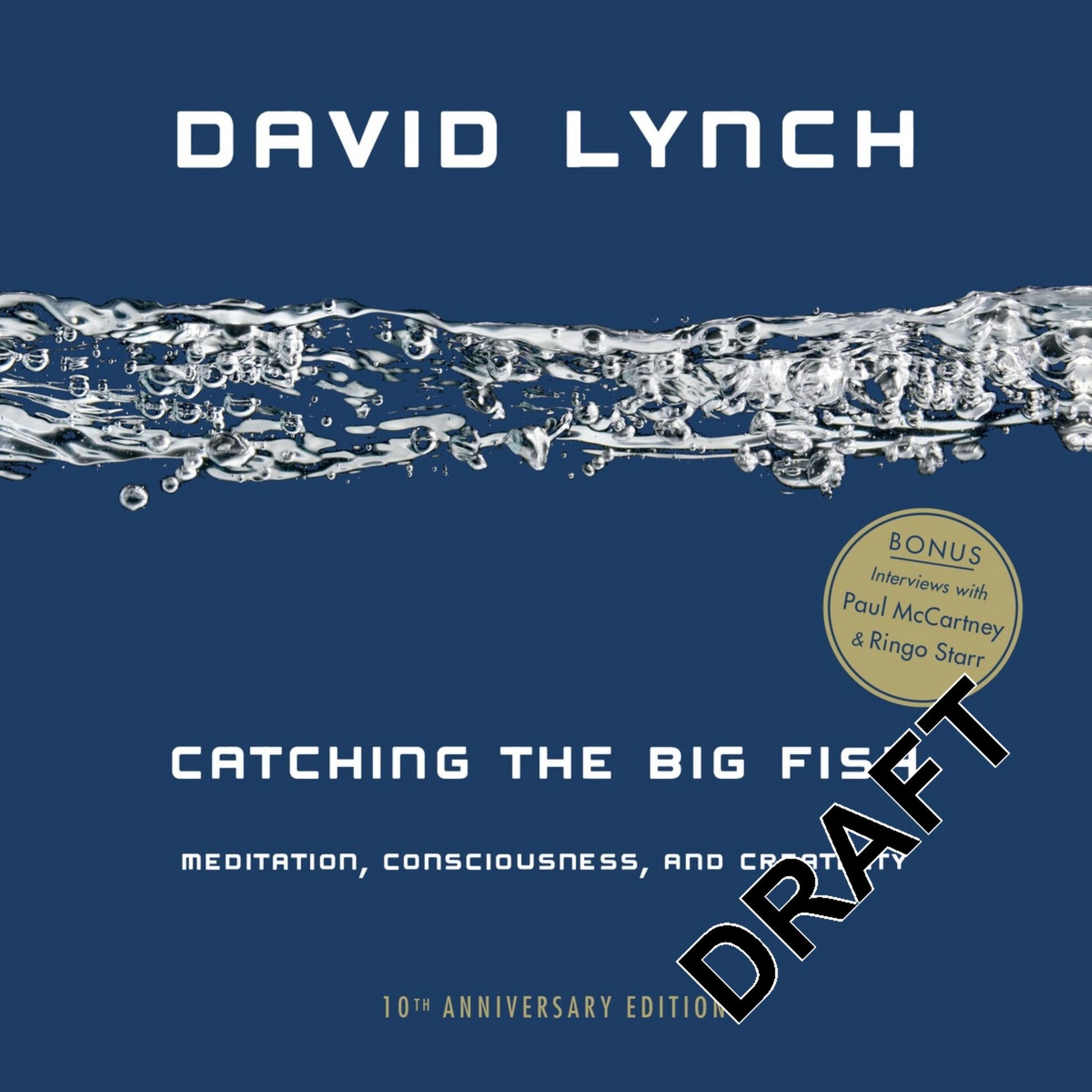 Catching the Big Fish Cover Image