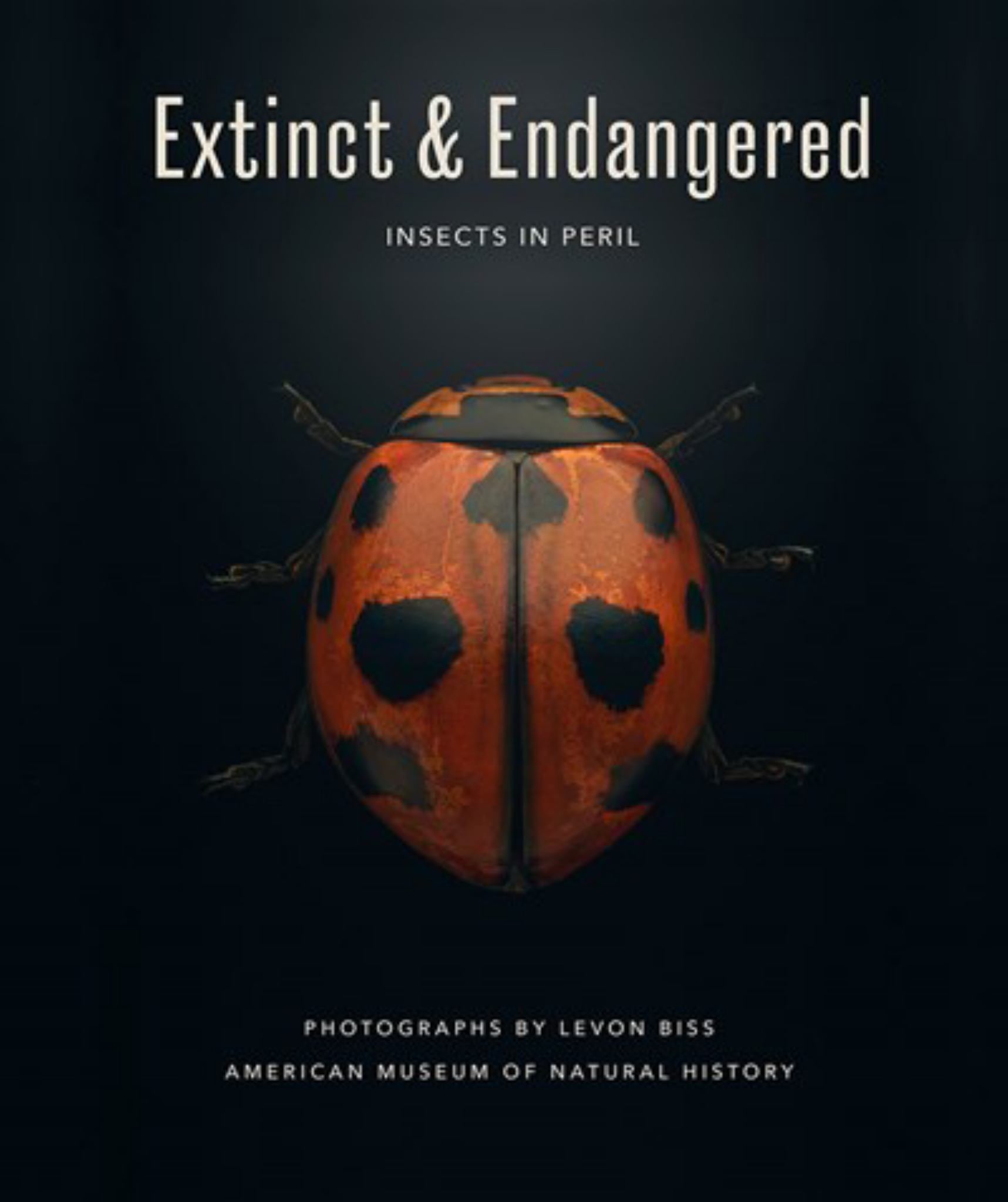 Extinct & Endangered Insects in Peril Cover Image
