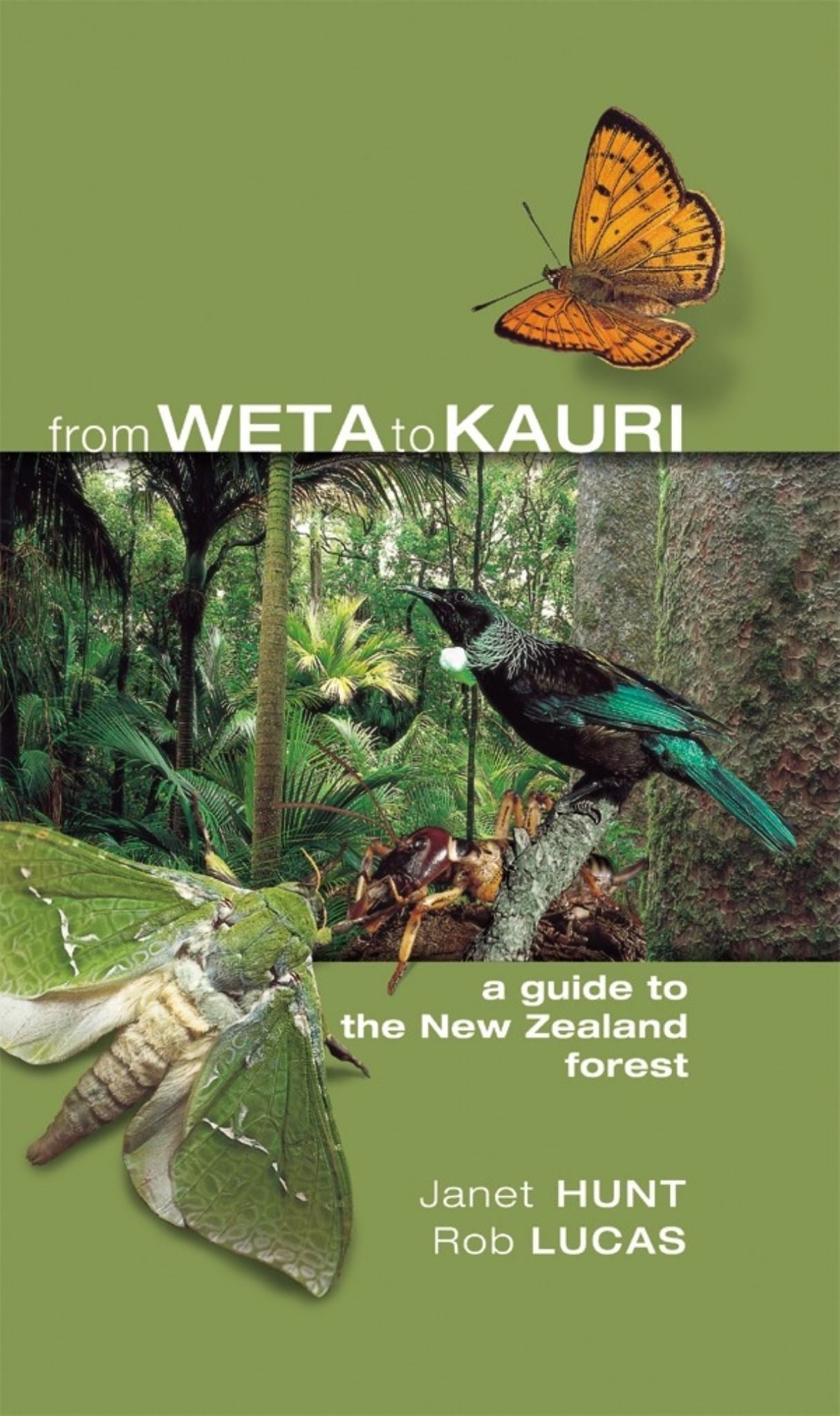 From Weta to Kauri : A Guide to the NZ Forest Cover Image
