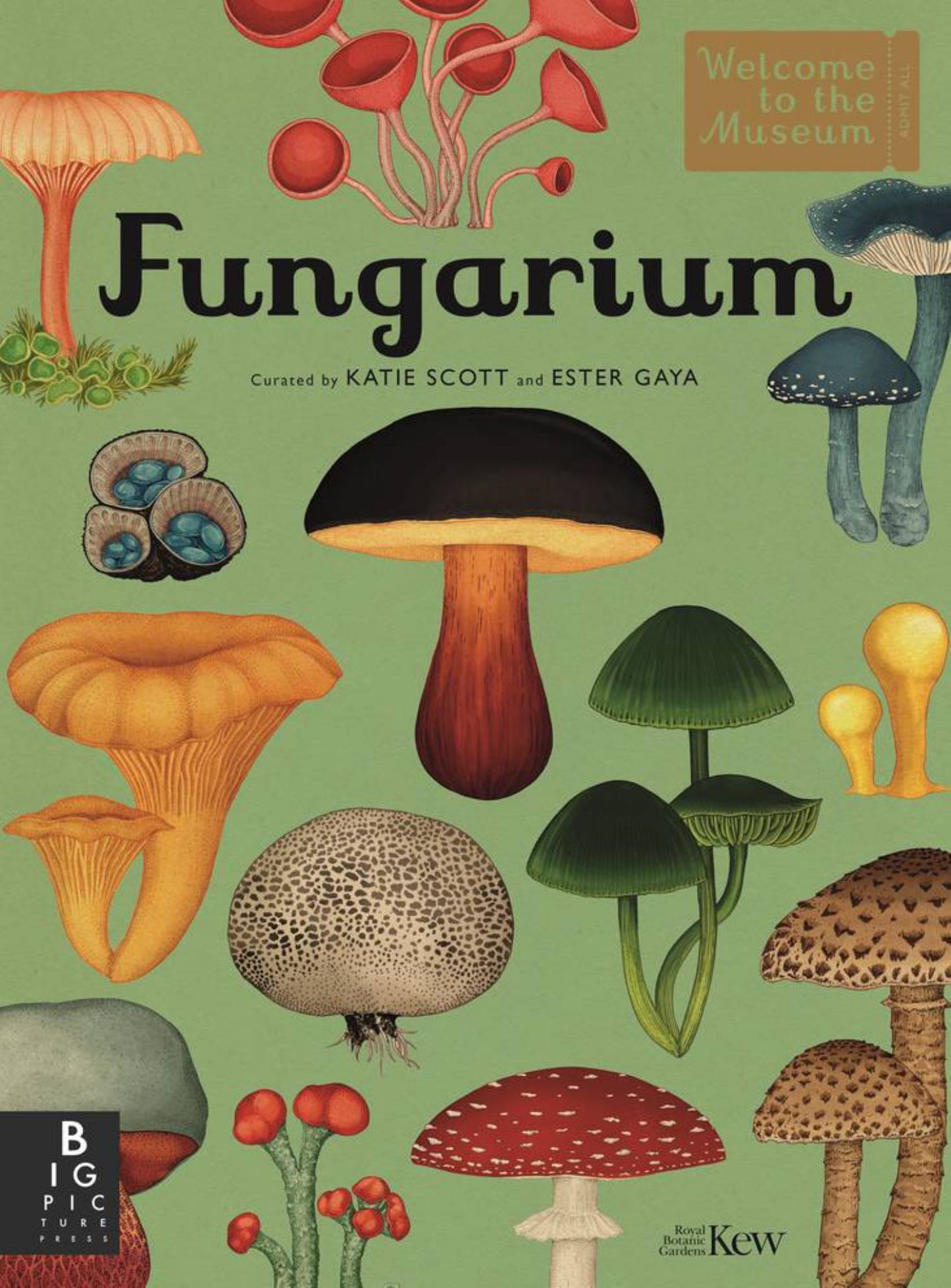 Fungarium Cover Image