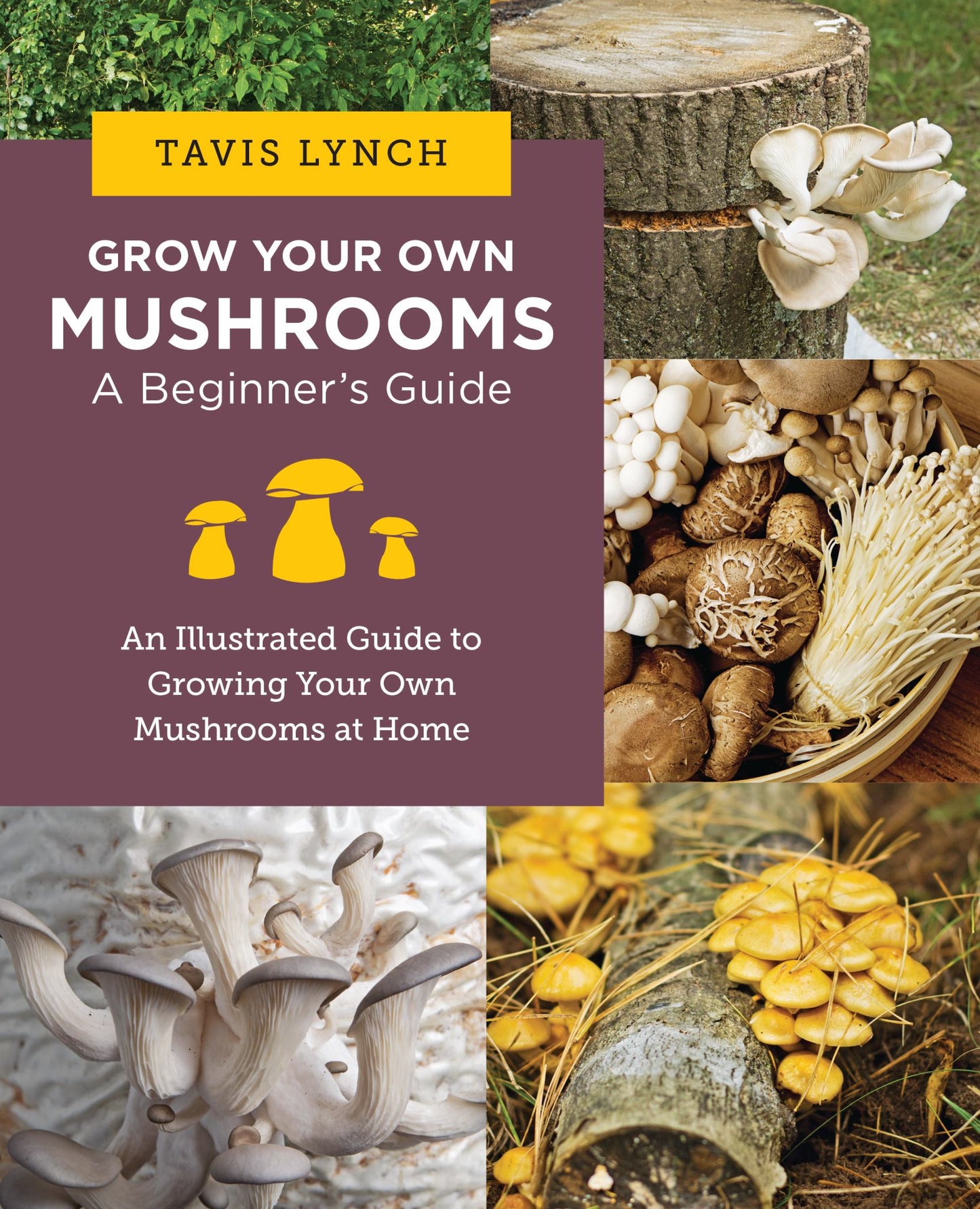 Grow Your Own Mushrooms: a Beginner's Guide An Illustrated Guide to Cultivating Your Own Mushrooms at Home Cover Image