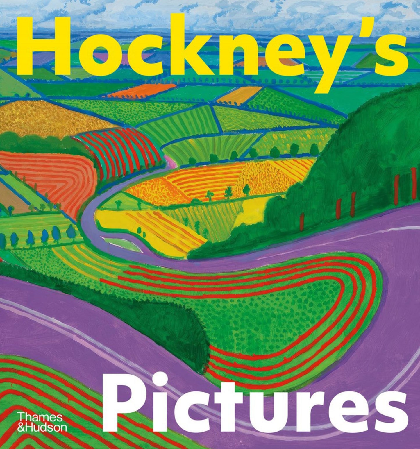 Hockney's Pictures Cover Image