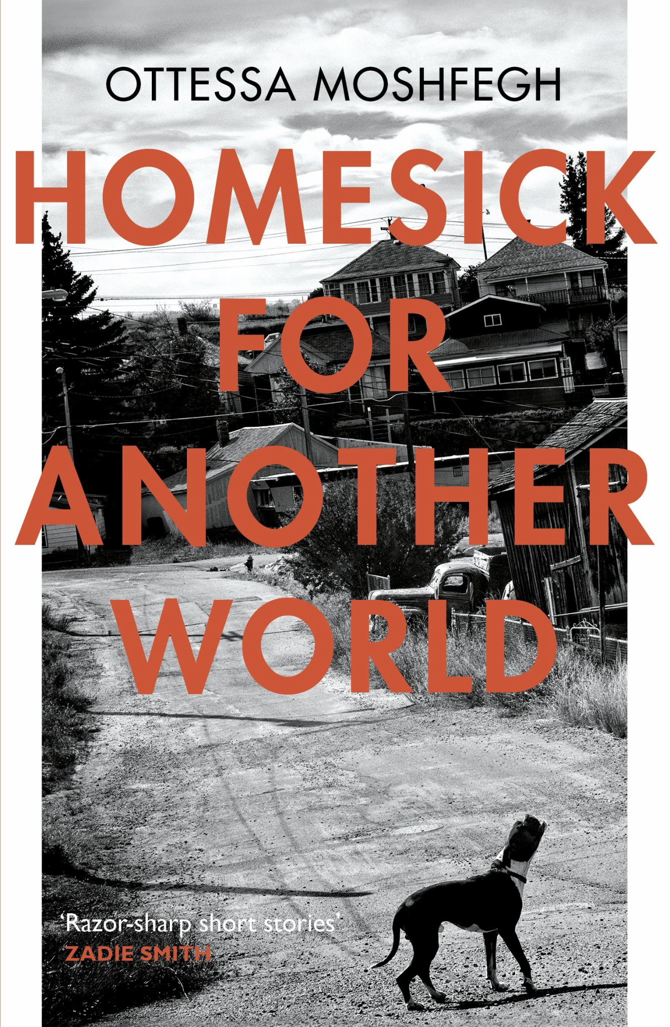 Homesick for Another World Cover Image