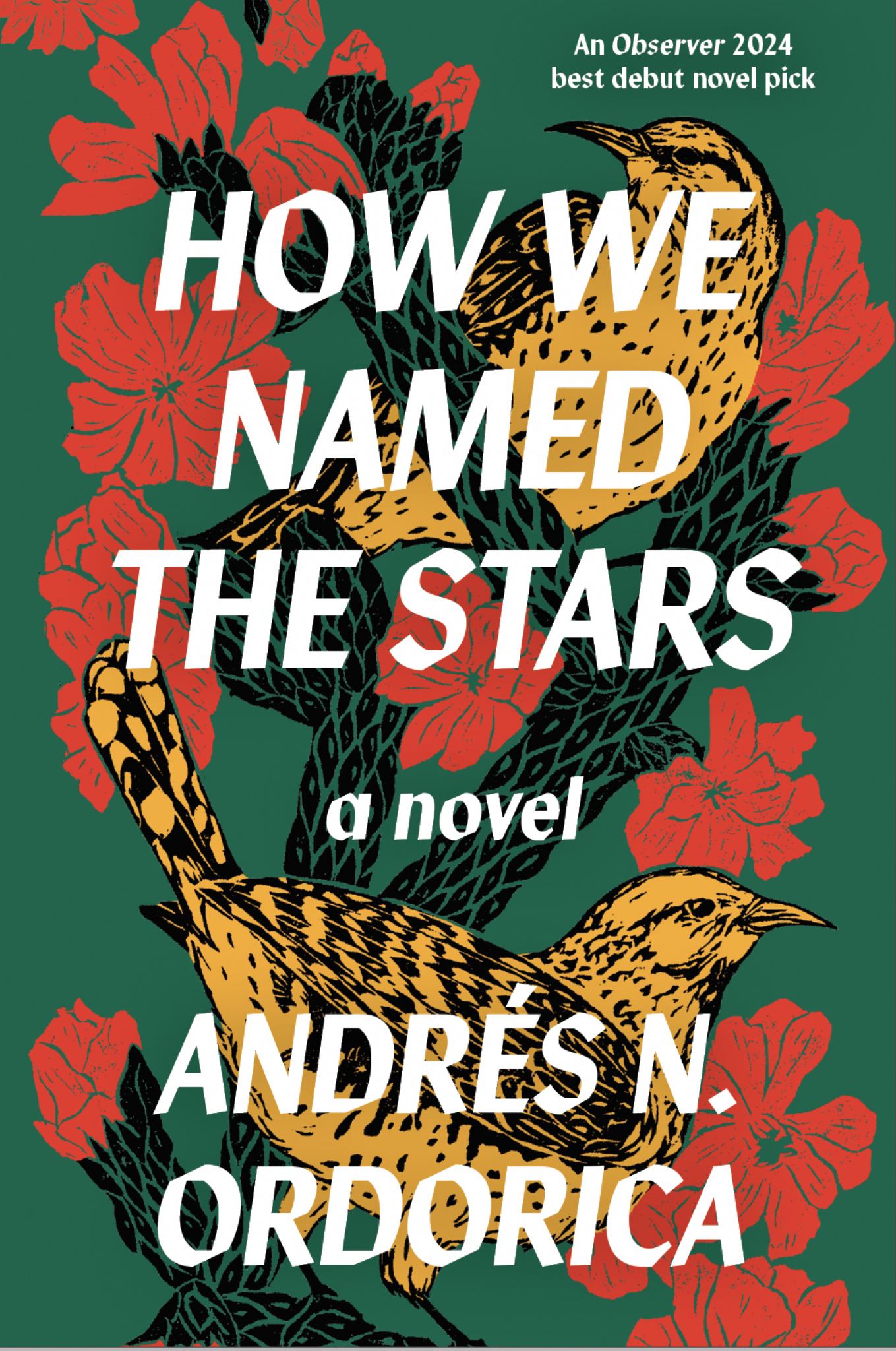 How We Named the Stars Cover Image