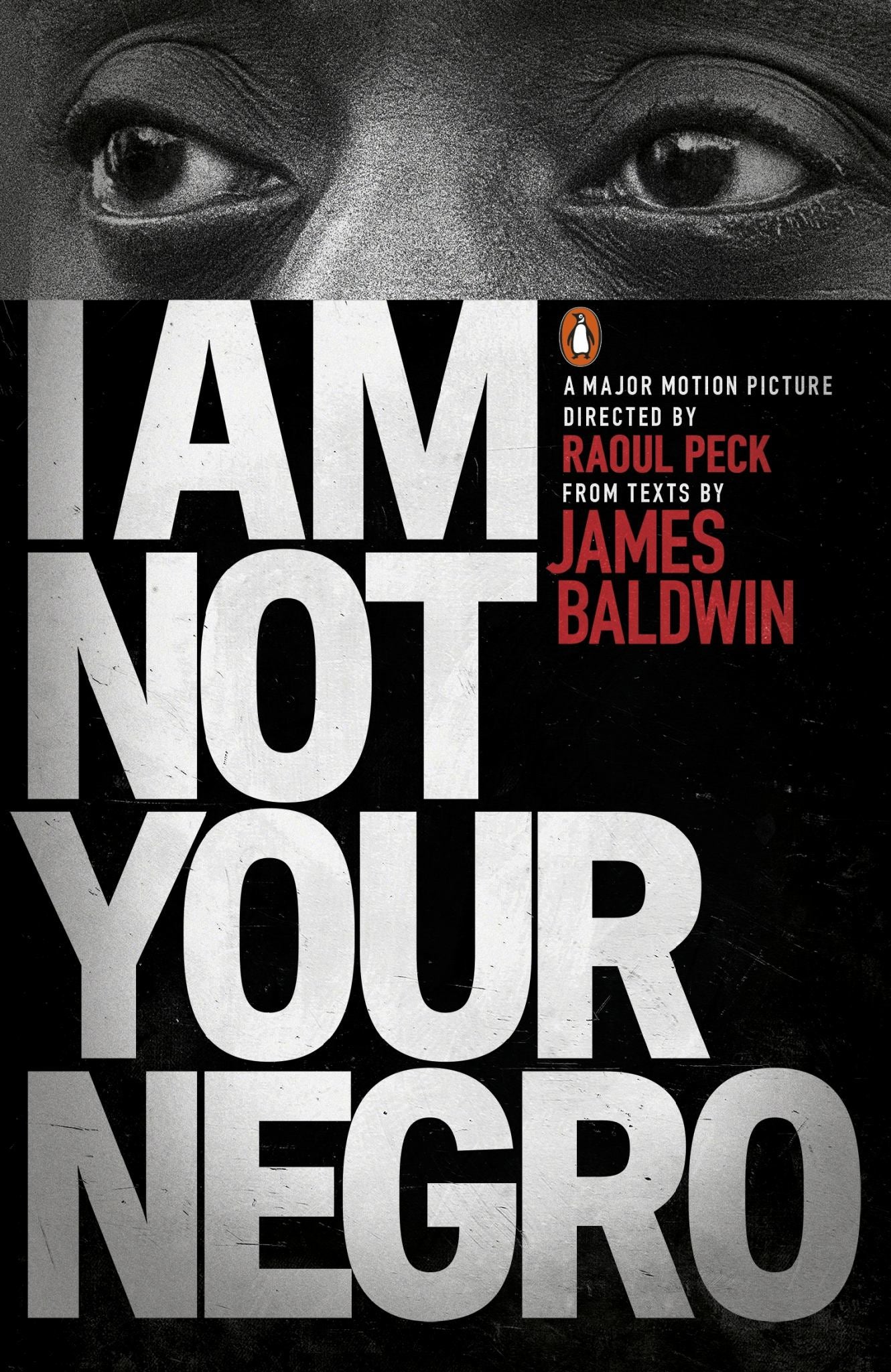 I Am Not Your Negro Cover Image