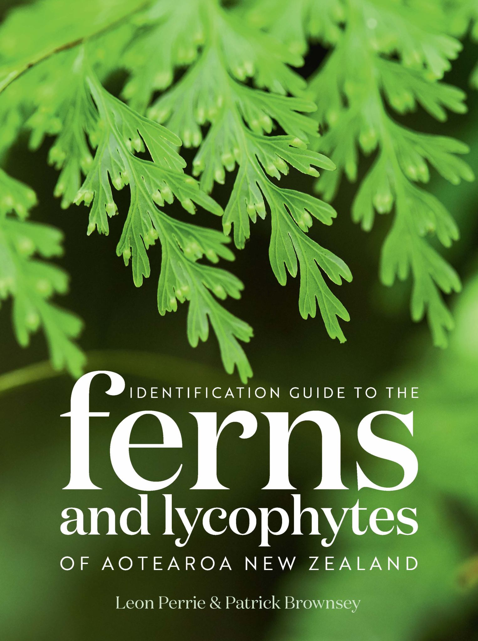 Identification Guide to the Ferns & Lycophytes of Aotearoa NZ Cover Image