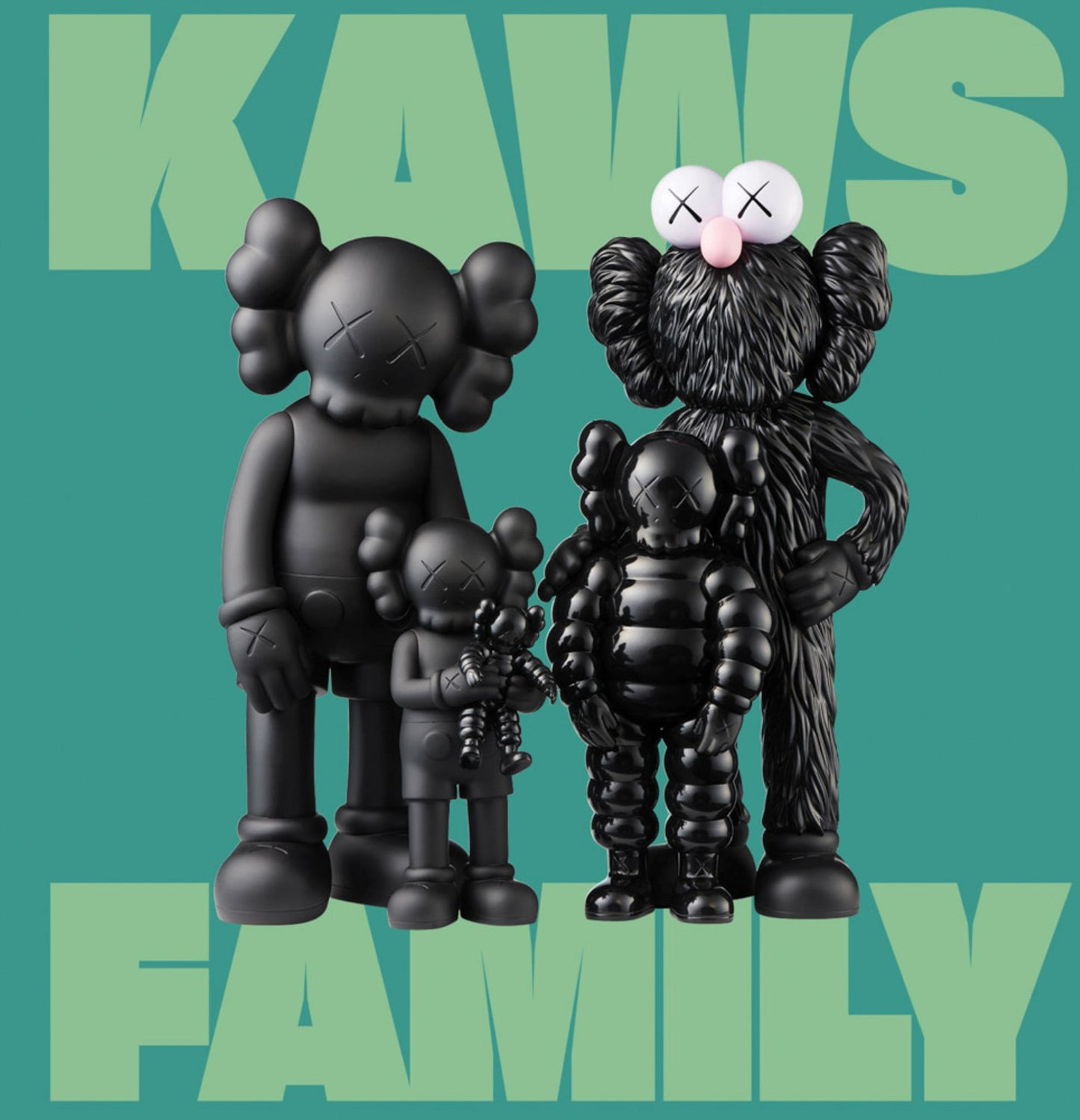 Kaws : Family Cover Image