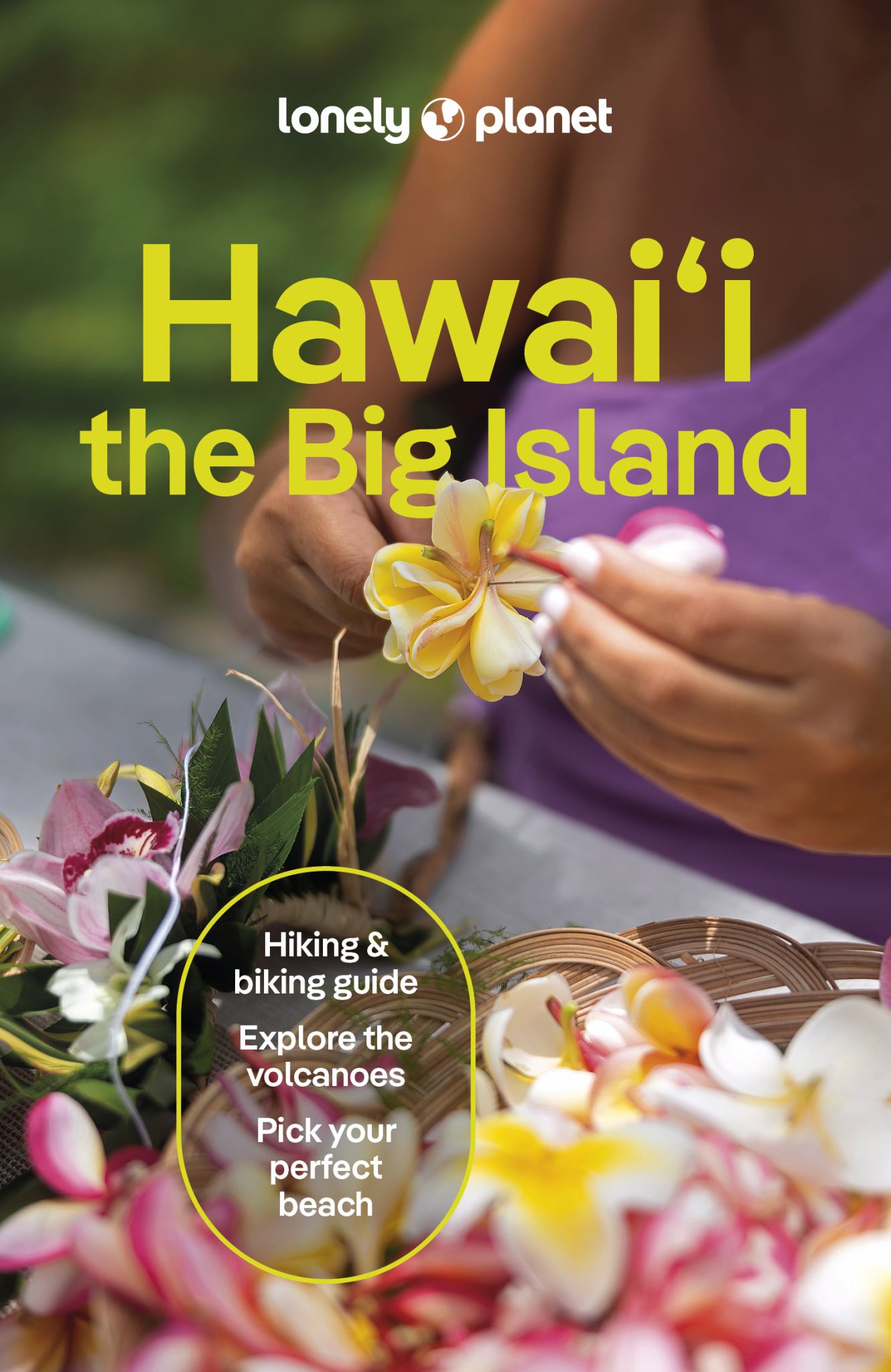 Hawaii the Big Island LP 6 Cover Image