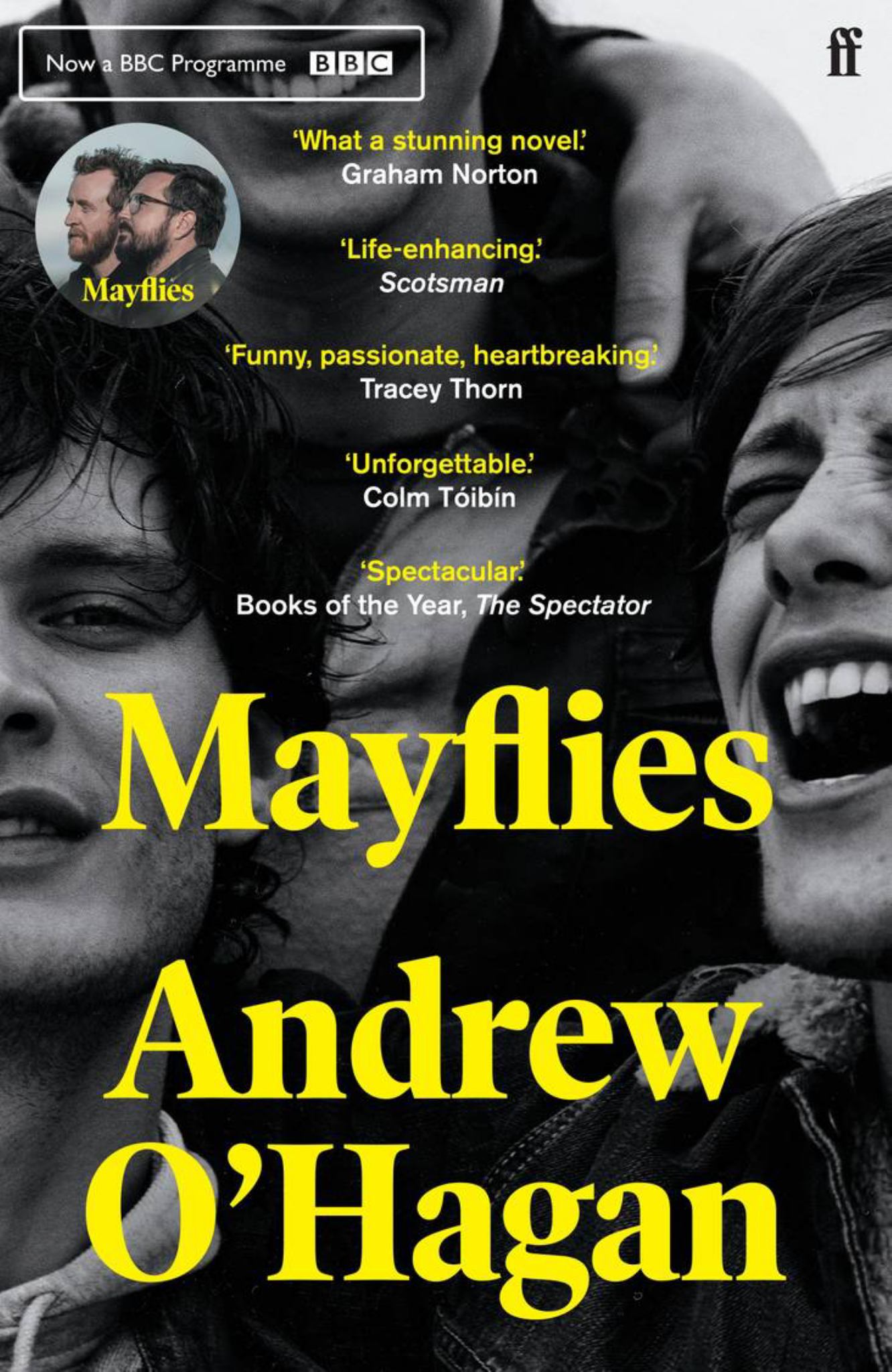 Mayflies Cover Image