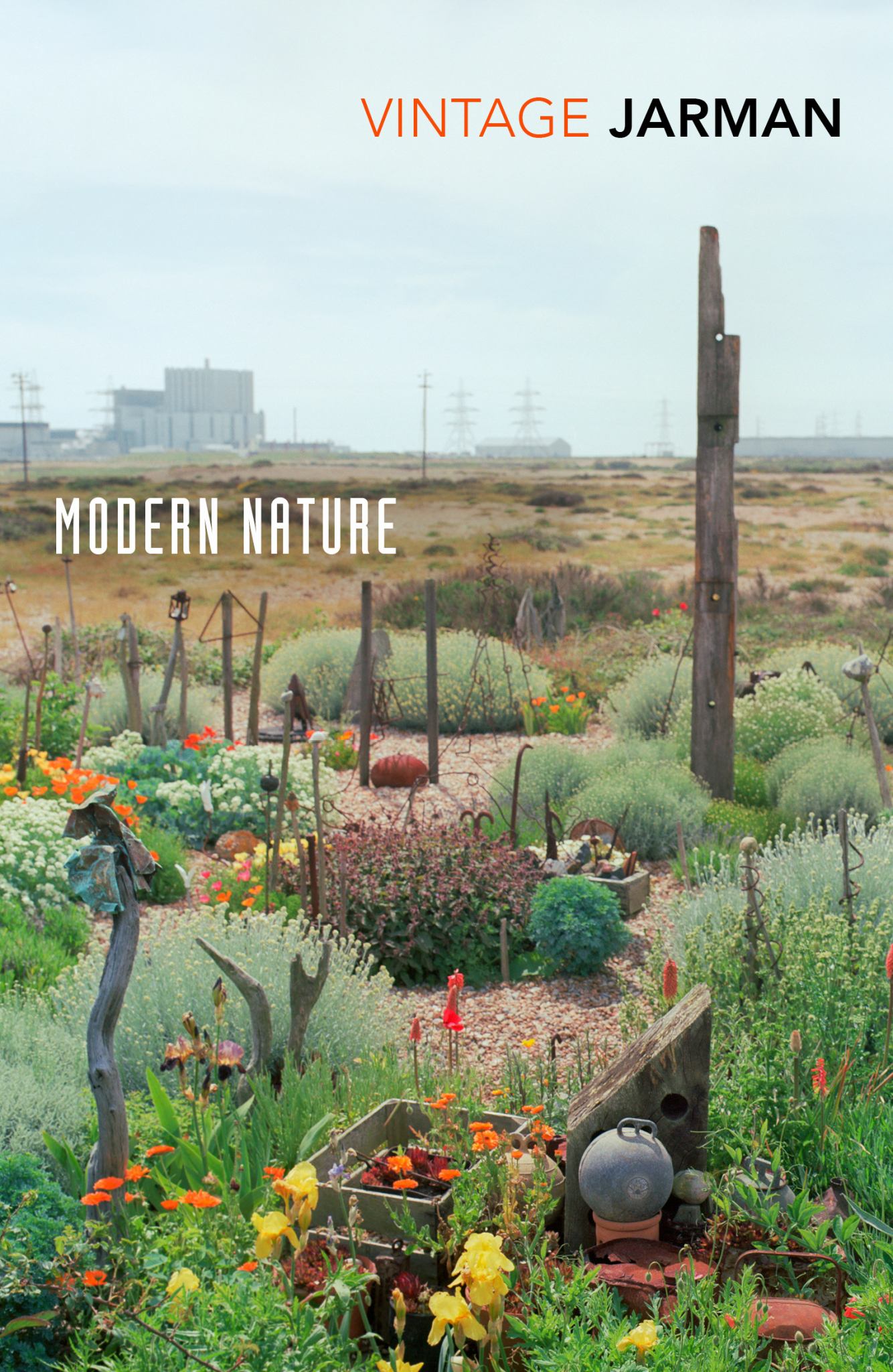Modern Nature : The Journals of Derek Jarman Cover Image